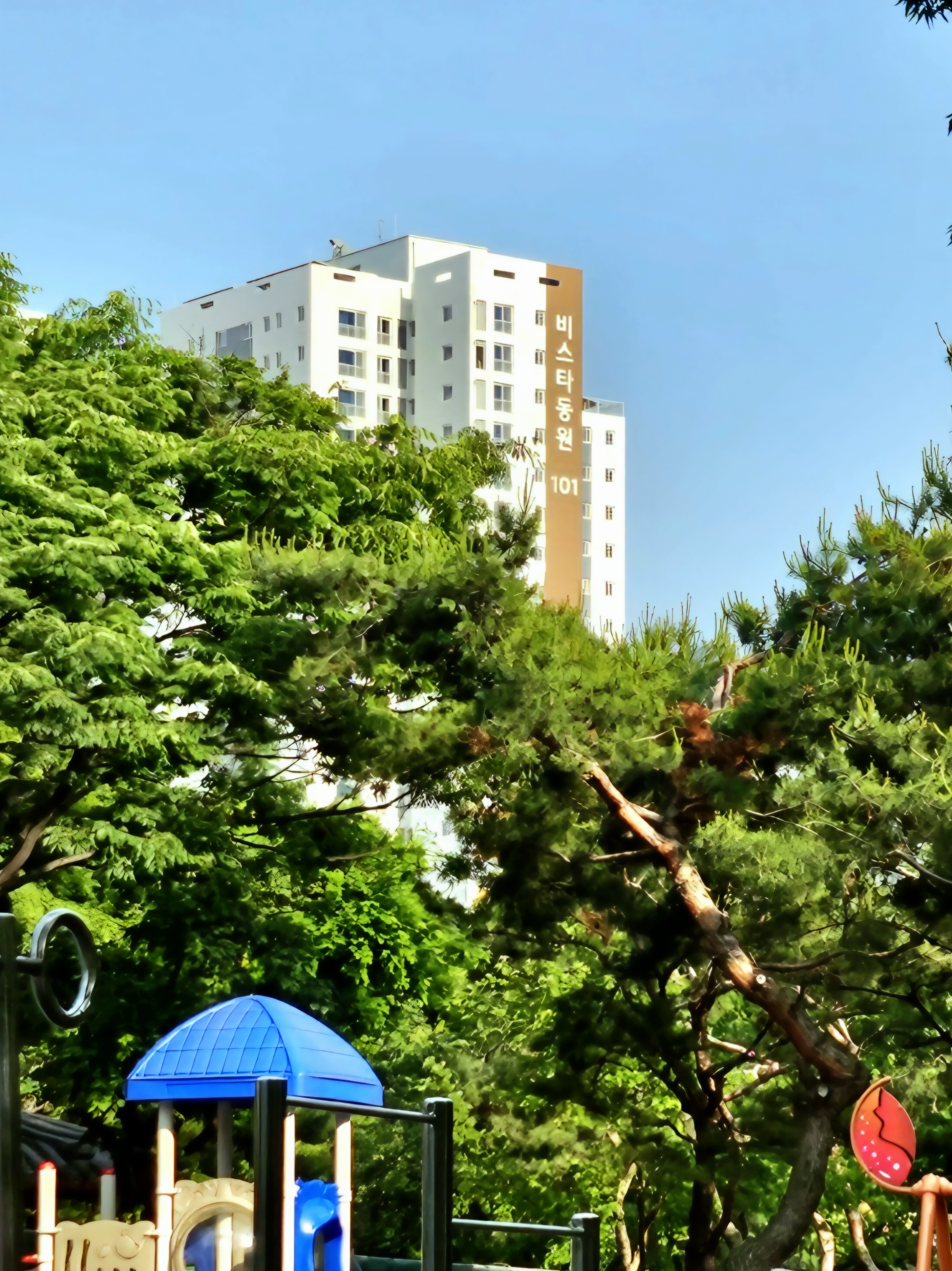 KakaoTalk_20250611_094240097.jpg